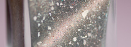 Птичка прилетела: Shrike Color Flecks