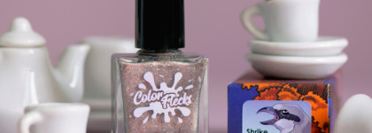 Птичка прилетела: Shrike Color Flecks