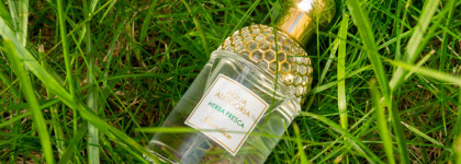Классика зелёных ароматов. Guerlain Aqua Allegoria Herba Fresca
