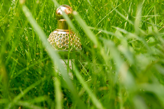 Классика зелёных ароматов. Guerlain Aqua Allegoria Herba Fresca