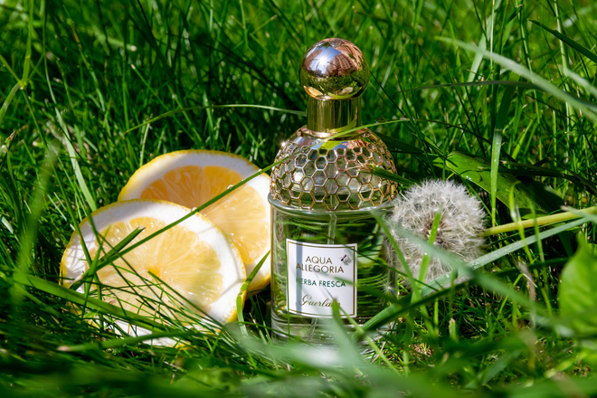 Классика зелёных ароматов. Guerlain Aqua Allegoria Herba Fresca