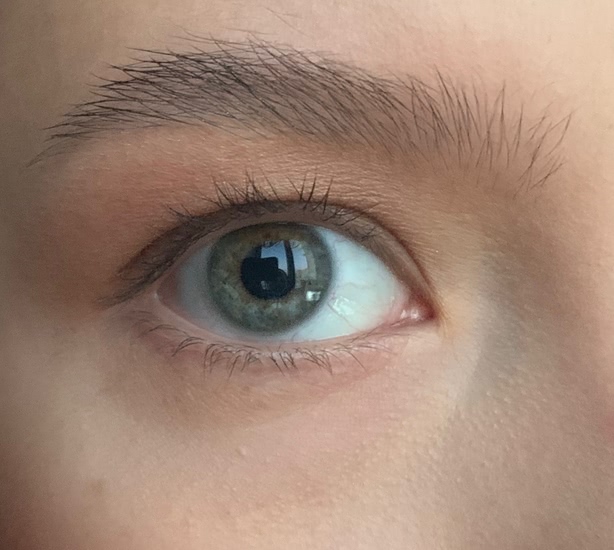 Stay-In-Place Brow Gel Прозрачный гель для фиксации бровей от Estee Lauder и его бюджетный аналог от Vivienne Sabo