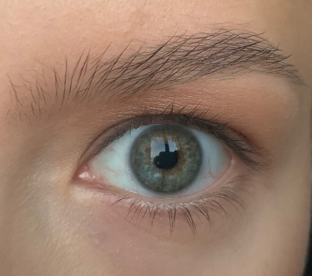 Stay-In-Place Brow Gel Прозрачный гель для фиксации бровей от Estee Lauder и его бюджетный аналог от Vivienne Sabo