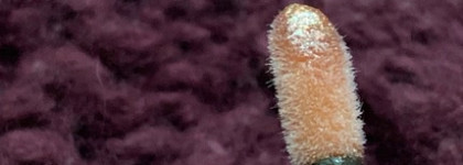 Сияющий топпер для губ Long-Wear Lip Topper от Jouer Cosmetics в оттенке Rose Gold