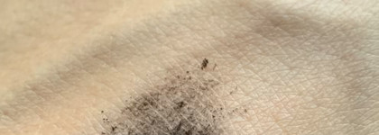 Пудра для бровей NYX Build ’em Up оттенок ASH Brown