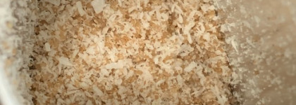 Холодное оружие CRYO Body Set от Mixit