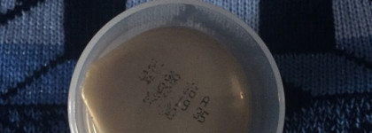 Крем-мечта или нет: дневная эмульсия для лица Черный Жемчуг Dream Cream