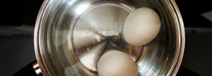 Один день со мной в Петербурге