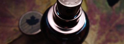 Аромат для него, ставший ароматом для меня - DSquared2 Wood for HIM