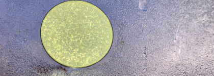 Лунное сияние с Bernovich Sparkle №X53