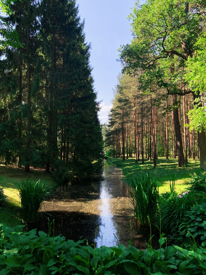 Царское Село