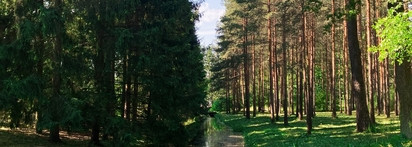 Макияж на двоих: Петербург вдохновляет