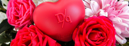 Палитра месяца: Dasique Souffle Color Pot в оттенке 23 Fog Cherry