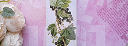 Ностальгия по детству в аромате Brocard "Чёрная смородина и мята"