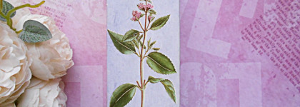 Ностальгия по детству в аромате Brocard "Чёрная смородина и мята"