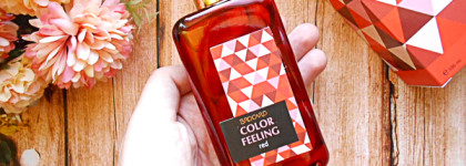 Моя зимняя любовь. Рассказываю о Brocard Color Feeling Red