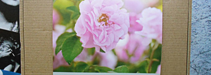 Базовый уход за кожей с тремя средствами от Крымской Розы