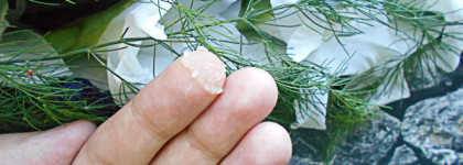 Воск для ногтей ChocoLatte: укрепляет ногти, устраняет сухость кутикулы