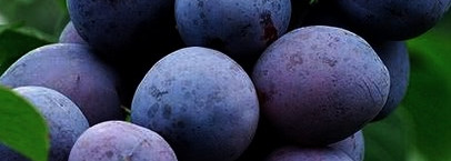 Serge Lutens Feminite Du Bois EDP Или Магия во флаконе