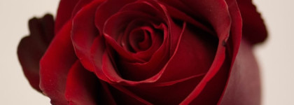 Serge Lutens Feminite Du Bois EDP Или Магия во флаконе