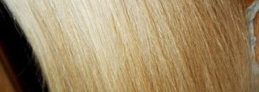 Экстра помощник для окрашенных волос Selective Professional Powerplex spray mask