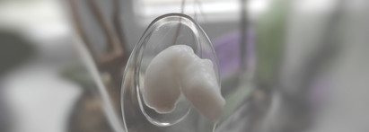 И головой я, между прочим, ем! Мой уход за волосами