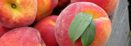 Ах, этот Сальвадор, ах этот Дали. Dalissime Salvador Dali