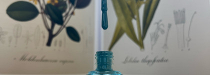 Тиловый лак от Essie Nail Lacquer - новинка в оттенке Revenge's a beach