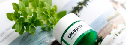 Сравнение бестселлеров Dr. Jart+: Rejuvenating Beauty Balm Silver Label и Cicapair Tiger Grass Color Correcting Treatment