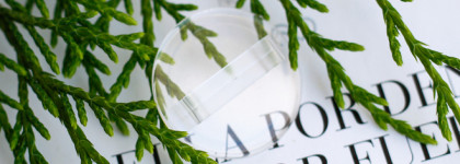 Обновки в моей сиренево-лавандовой коллекции теней: Tarte Chrome Paint Shadow Pot Unleashed и Tarteist Metallic Shadow Amethyst