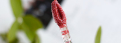 Нескучный уход за губами: бальзам для губ Róen Kiss My... Liquid Lip Balm в оттенке Charlie