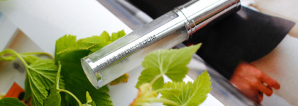 Чудеса и невидаль: десять средств для макияжа, которые я купила вновь