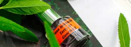 Ароматы с нотой розы