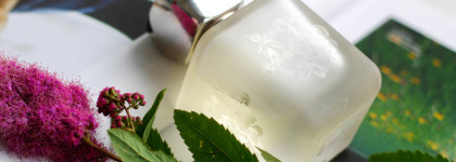 Лучшие ароматы за пять лет