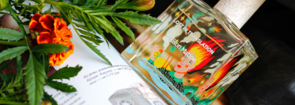 Семь кожаных ароматов