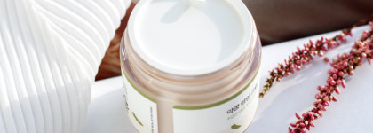 Питательный крем на зиму: Round Lab Soybean Nourishing Cream