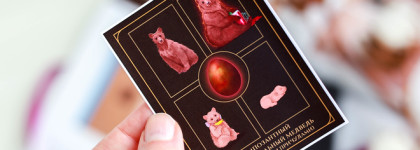 Пляски с медведем без плясок с бубном: Tammy Tanuka Импозантный Респектабельный Медведь (с небольшими причудами)