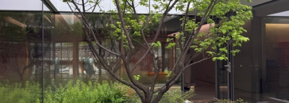 Самый беспроблемный кушон: Sulwhasoo Perfecting Cushion Airy 11C1