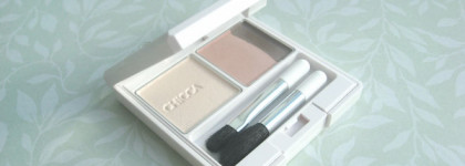 Chicca mystic powder eye shadow в оттенке 09 Rosie Posy