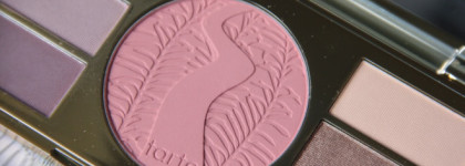 Неоправданные надежды или палетка Limited-edition miracles from the Amazon eye & cheek palette Tarte