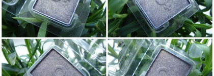 Золотая лаванда от Bronx Colors Single Slide Shadow в оттенке SCS12 Cool Grey