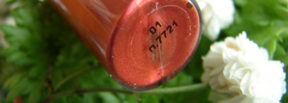 Когда помада хороша не только по прямому назначению. Жидкая губная помада Divage Metal Glam Liquid Lipstick в оттенке №01