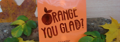 Оранжевый - хит октября. Палетка теней Orange You Glad от Colourpop