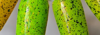 Лак Budgerigar 2.0 от Color Flecks