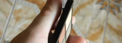 Мечта для девушки с тёплым цветотипом. Wet n Wild color icon E738. Фото макияжей