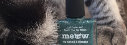 Picture polish сольный концерт