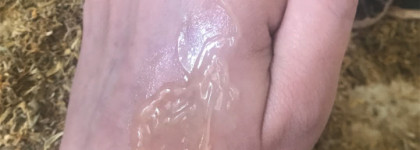 Еще одна прекрасная маска от Kiehl's - Calendula & aloe soothing hydration masque