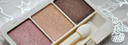 Miniso 3C Eyeshadow Palette (Dark Red)