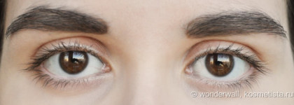 Тушь для ресниц L'Oreal Paris Mascara Paradise Extatic