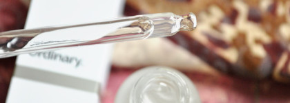 The Ordinary: Salicylic Acid 2% Solution & Niacinamide 10% + Zinc 1%